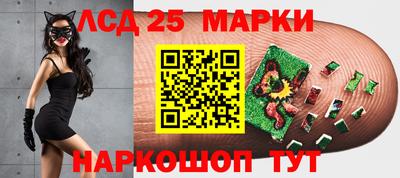 МДПВ Новодвинск