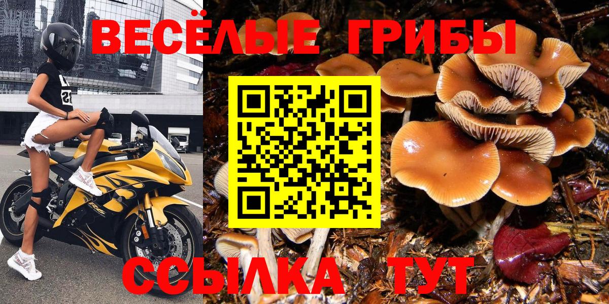 Кузнецк  Галлюциногенные грибы мухоморы  Галлюциногенные грибы мухоморы  Вход с VPN 